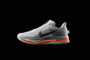 Nike Pegasus Premium