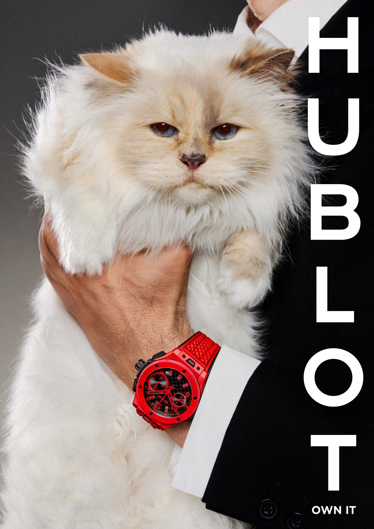 Hublot Signs Feline Icon Choupette for its Big Bang Collection